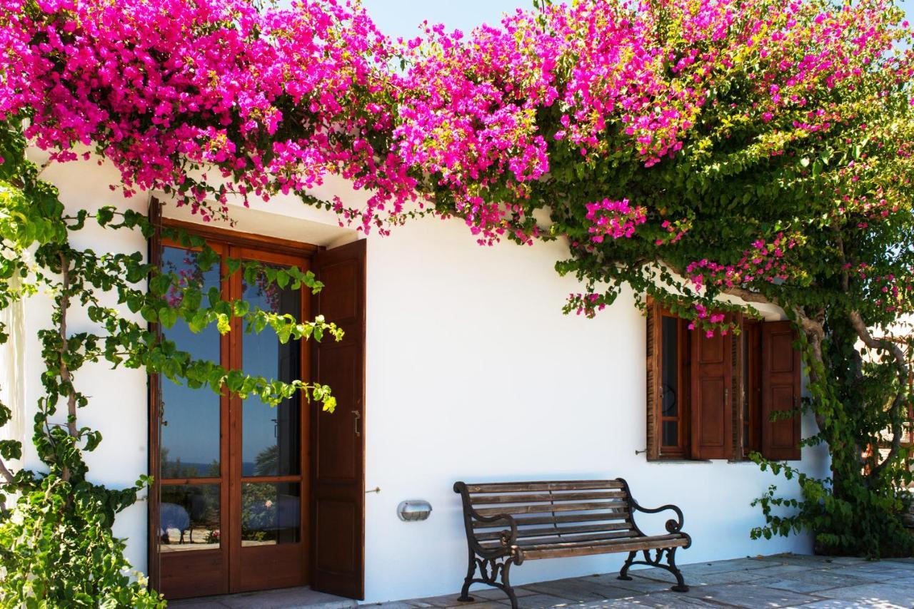 Villa Celestina, Great For Privacy And Seclusion Chrisopigi  Buitenkant foto